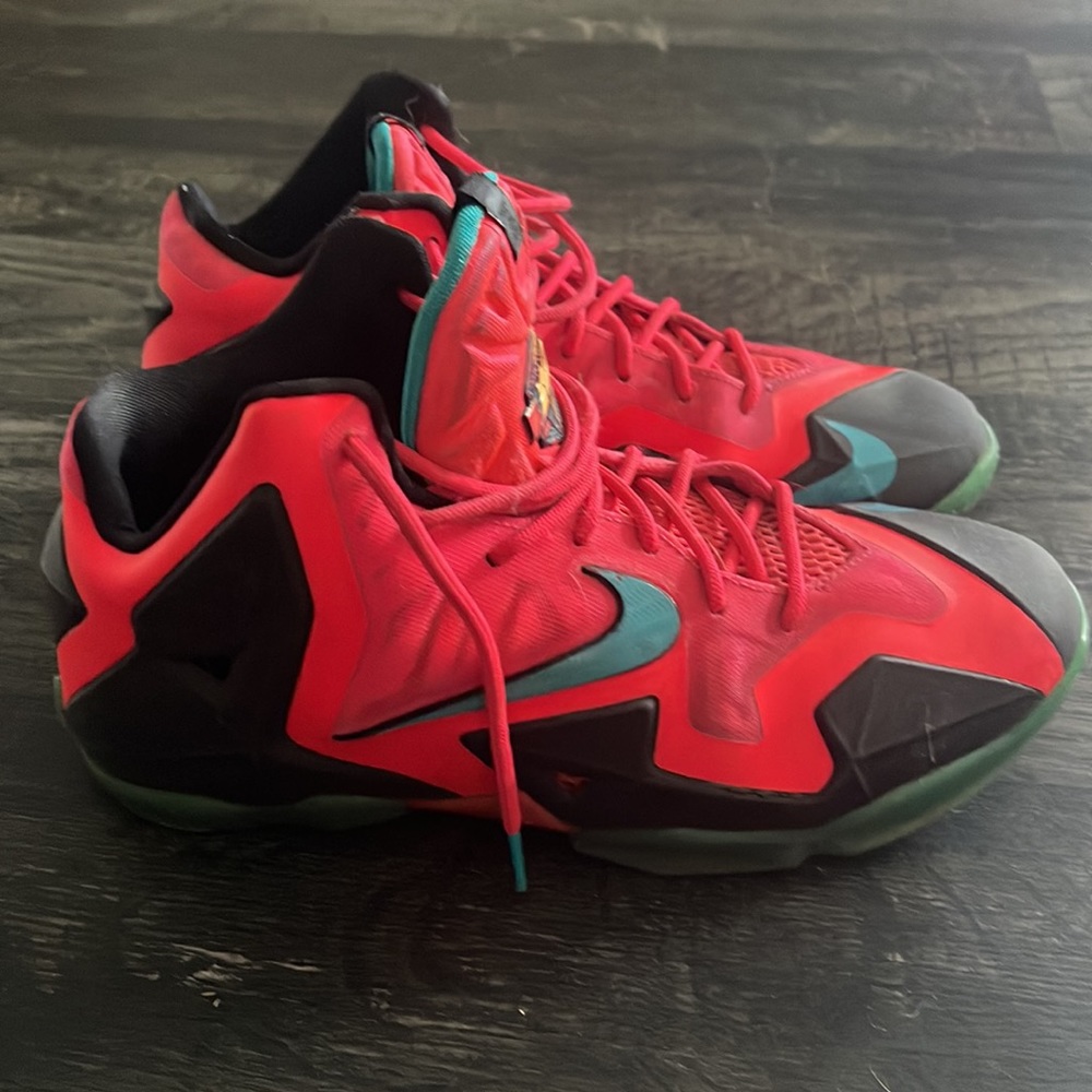 Lebron Nikes